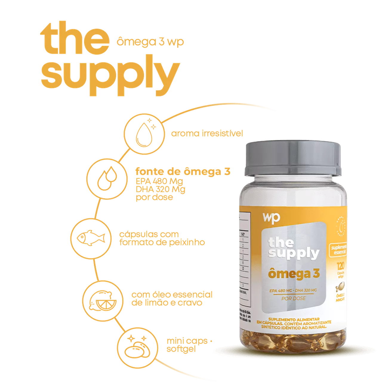 ômega 3 - Imagem 2